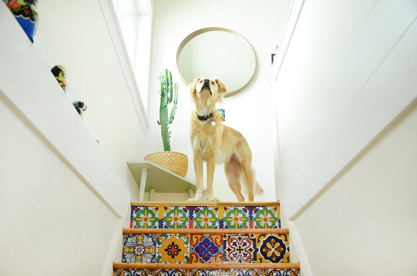 Tabasco Stair Strips