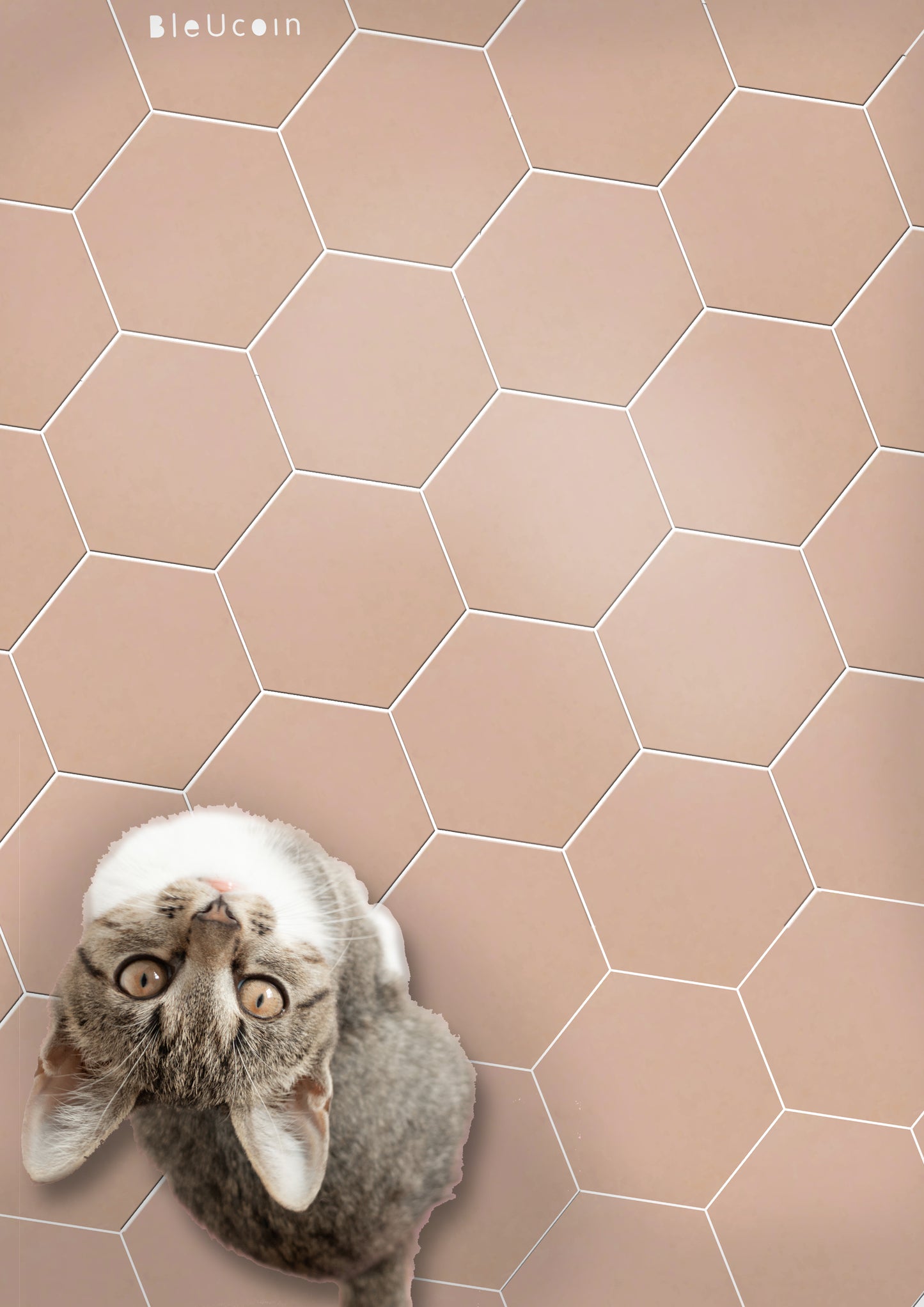 Blush Hexagon Peel & Stick Tile Decal
