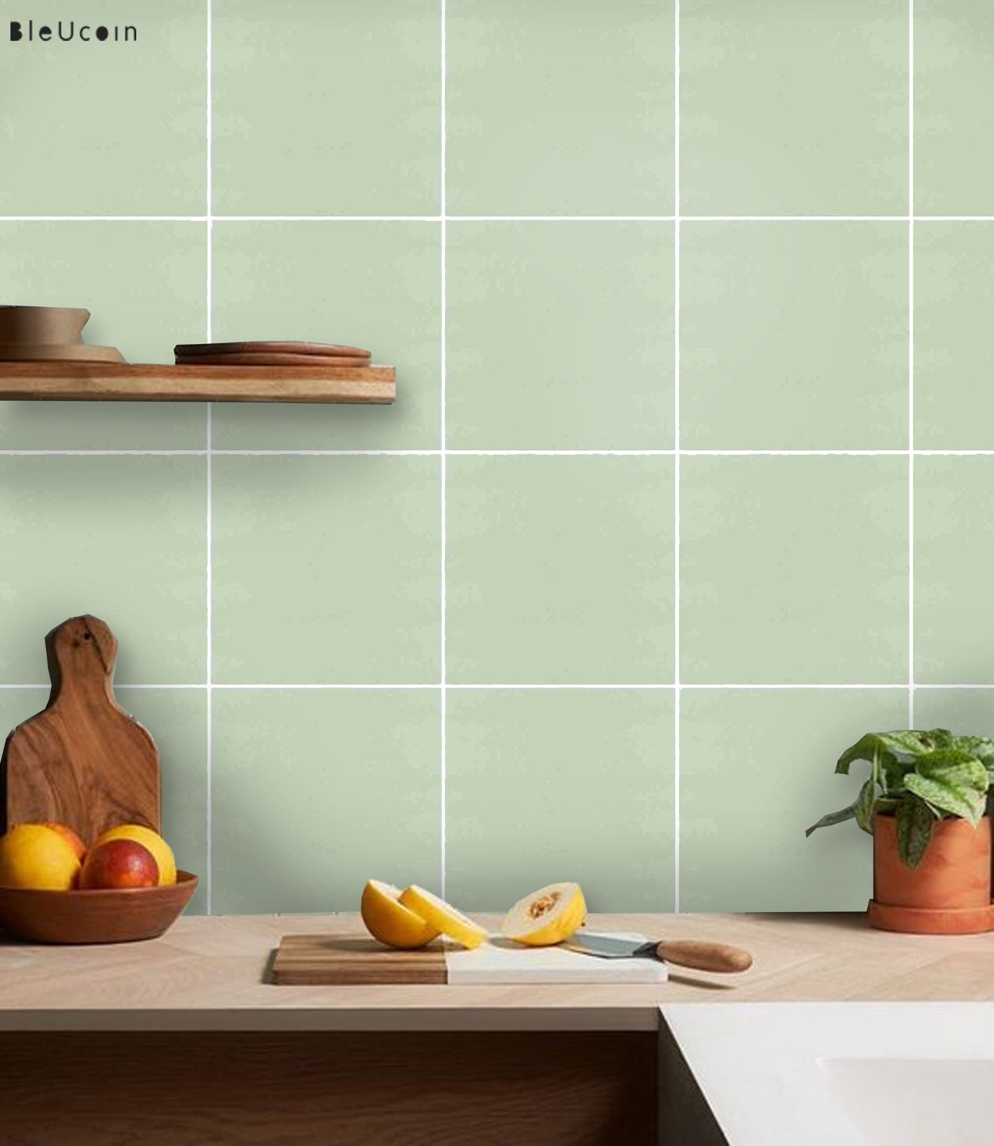 Canton Peel & Stick Tile Decal