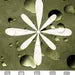 Aspen Premium Peel and Stick Floor Tile Stickers | Removable, Renter friendly with Anti-Slip finish in sturdy 520 microns