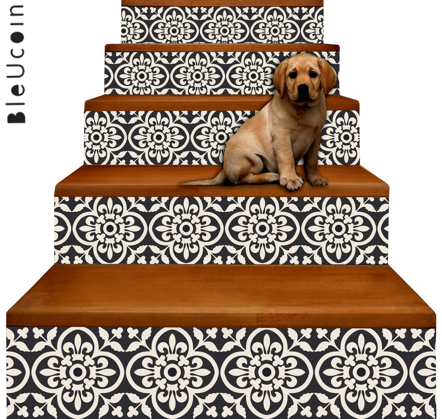 Encaustic Stair Strips