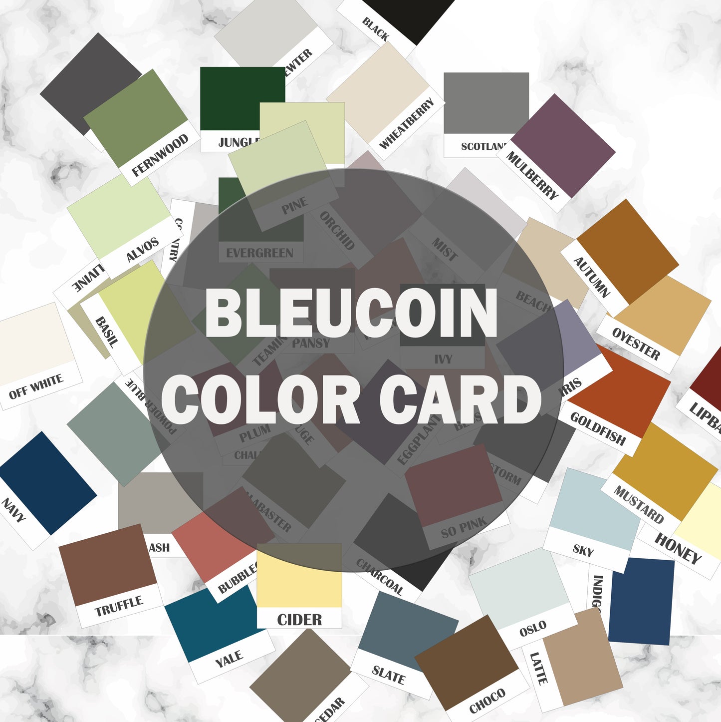 Bleucoin Color Card Chips: Set of 54 Color Chips